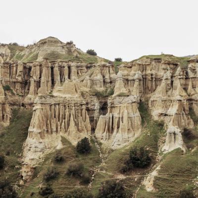 Manisa Motosiklet Sürücüleri Sohbet Odası