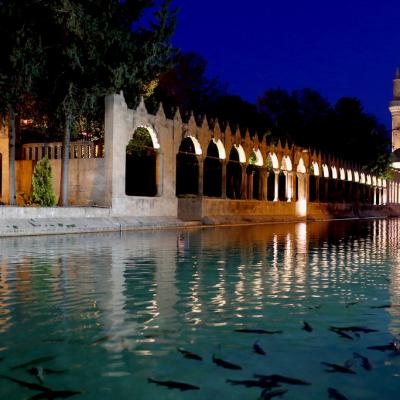Şanlıurfa Motosiklet Sürücüleri Sohbet Odası