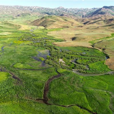 Şırnak Motosiklet Sürücüleri Sohbet Odası